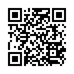 手机网站二维码