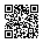 手机网站二维码