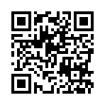 手机网站二维码